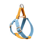 A dog harness with light blue and mustard yellow webbing straps, featuring a silver metal ring at the top and light wood-toned plastic buckles, shown on a solid white background.
