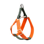 A high-visibility orange dog harness with gray trim, adjustable strap, and metal D-ring, shown on a plain white background.