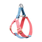 A pink and blue dog harness with a metal D-ring and gold-tone buckle, shown on a plain white background.