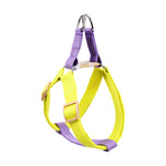 A pet harness with a bright yellow body and purple straps, featuring a metal D-ring at the top and adjustable plastic buckles, shown on a plain white background.