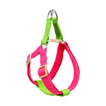A two-tone dog harness made of bright pink and lime green webbing with silver metal hardware and light wood-tone buckles, shown on a plain white background.