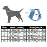 No-Pull Dog Harness & Leash for Small Dogs – Soft, Adjustable