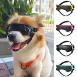 A fluffy tan and white dog wearing oversized black protective goggles with a harness strap, shown outdoors on a sidewalk. The right side shows four color variants of the goggles stacked vertically: yellow, pink, black, and mint green.